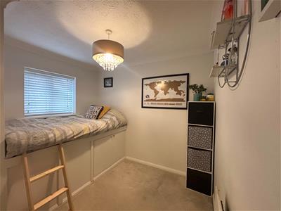 Picture 16